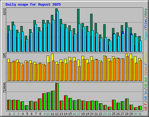 Daily usage for August 2025