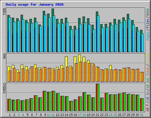 Daily usage for January 2026