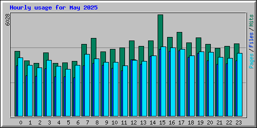 Hourly usage for May 2025