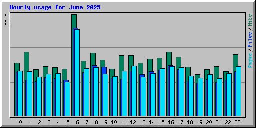 Hourly usage for June 2025
