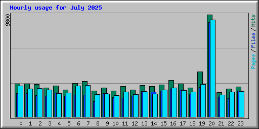 Hourly usage for July 2025