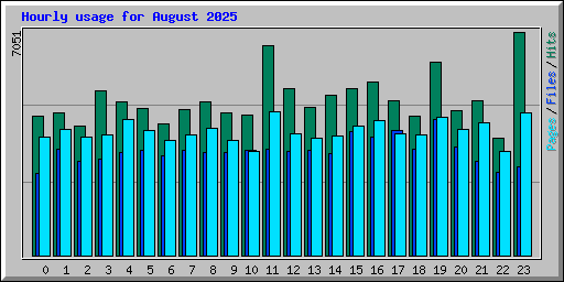 Hourly usage for August 2025