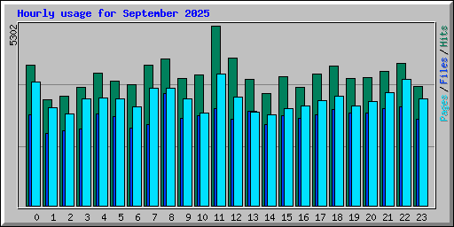 Hourly usage for September 2025