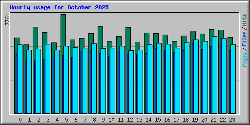 Hourly usage for October 2025