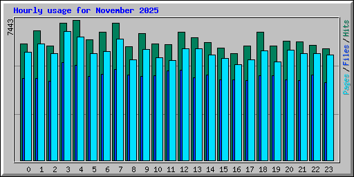 Hourly usage for November 2025
