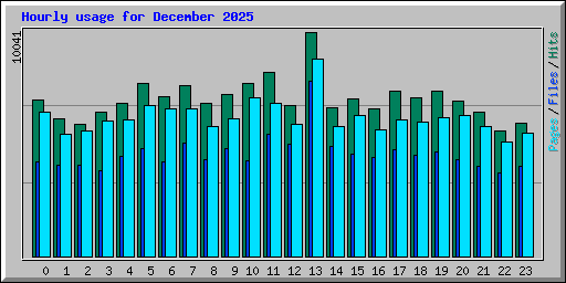 Hourly usage for December 2025