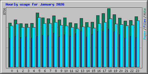 Hourly usage for January 2026
