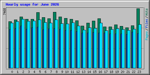 Hourly usage for June 2026