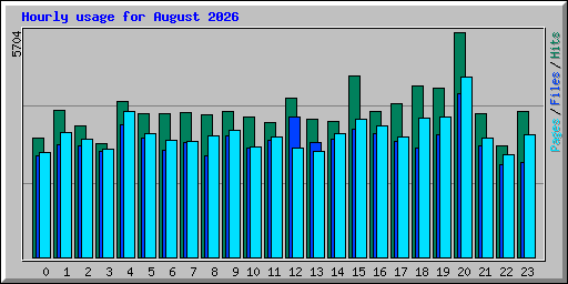 Hourly usage for August 2026